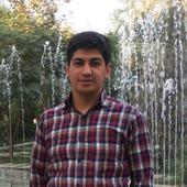 hamzeh