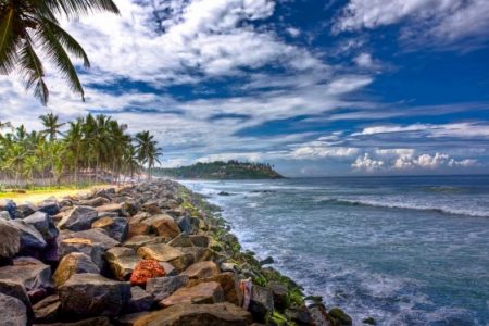 Highlights of Kerala : Elephanta Island, Cochin, Alleppey, Periyar & Kovalam